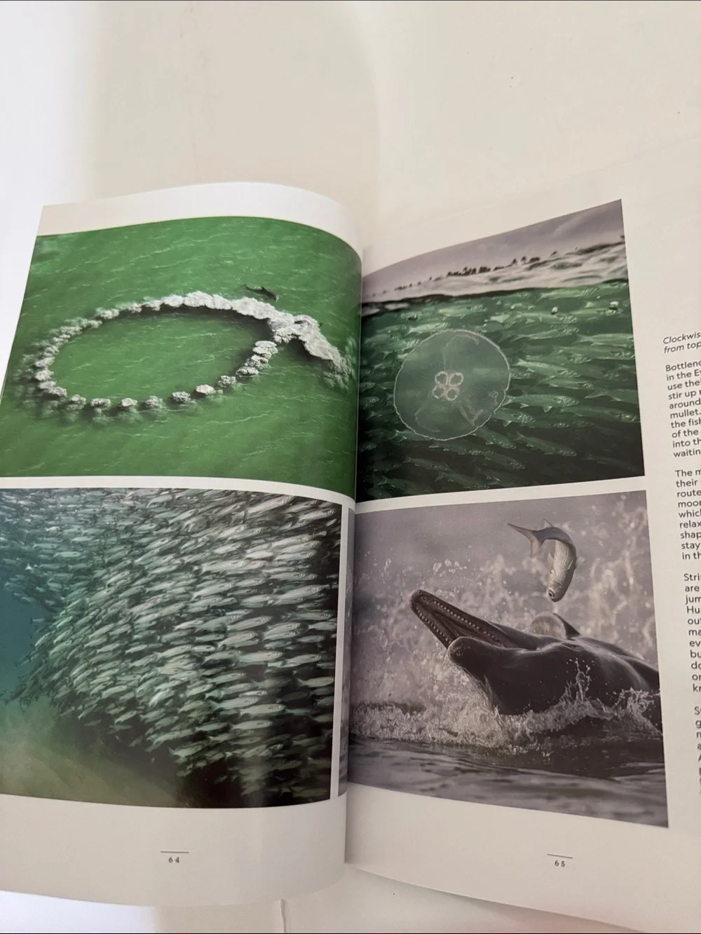 National Geographic Magazine Sept 2026 the end of aging